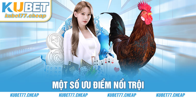 Một số ưu điểm nổi trội 